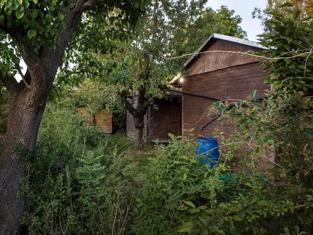 Wooden darkness retreat cabins standing in a one-hectare orchard